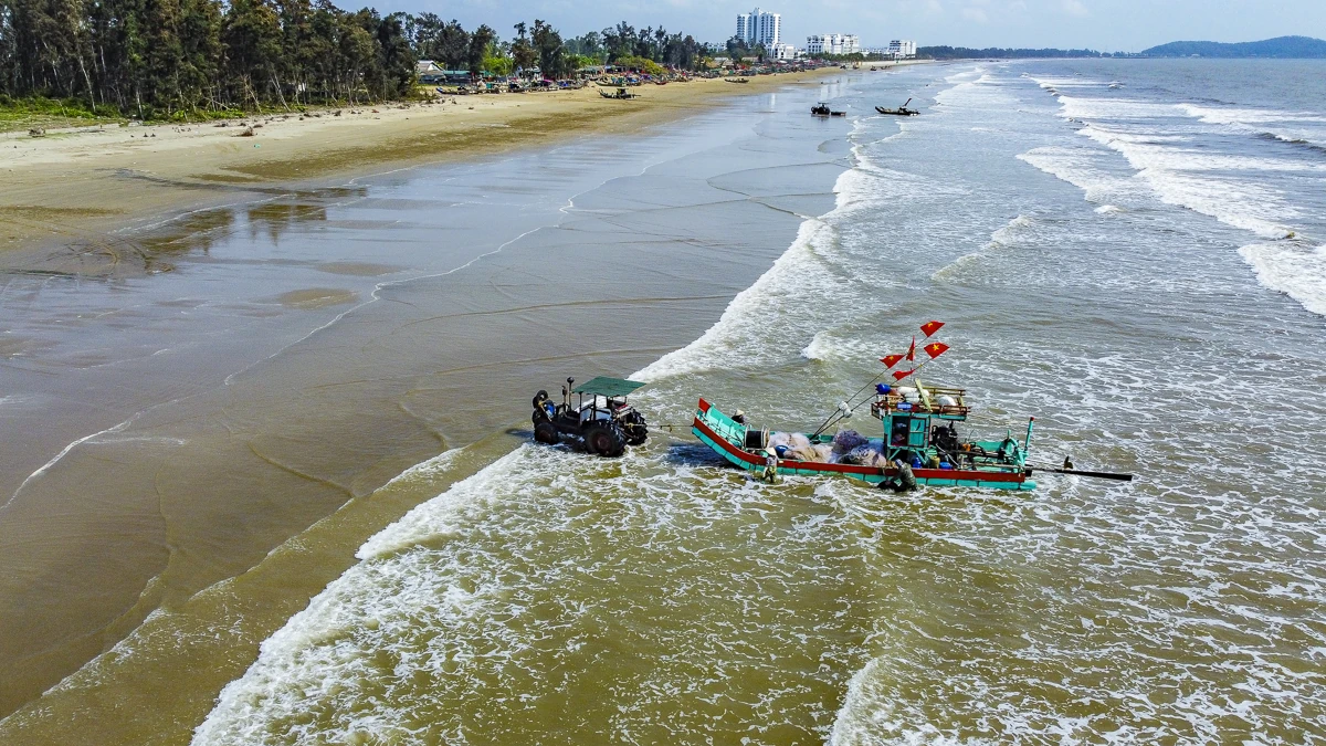 Giá nhiên liệu tăng, mùa cá trích giúp ngư dân ven biển giữ nhịp sinh kế