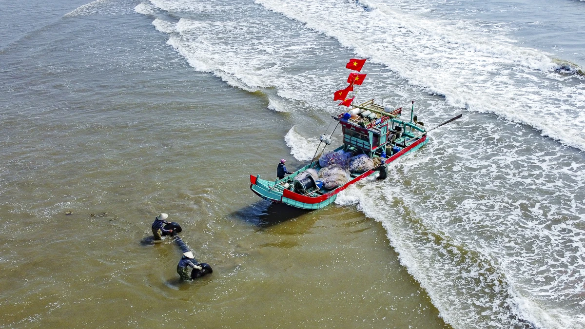 Giá nhiên liệu tăng, mùa cá trích giúp ngư dân ven biển giữ nhịp sinh kế