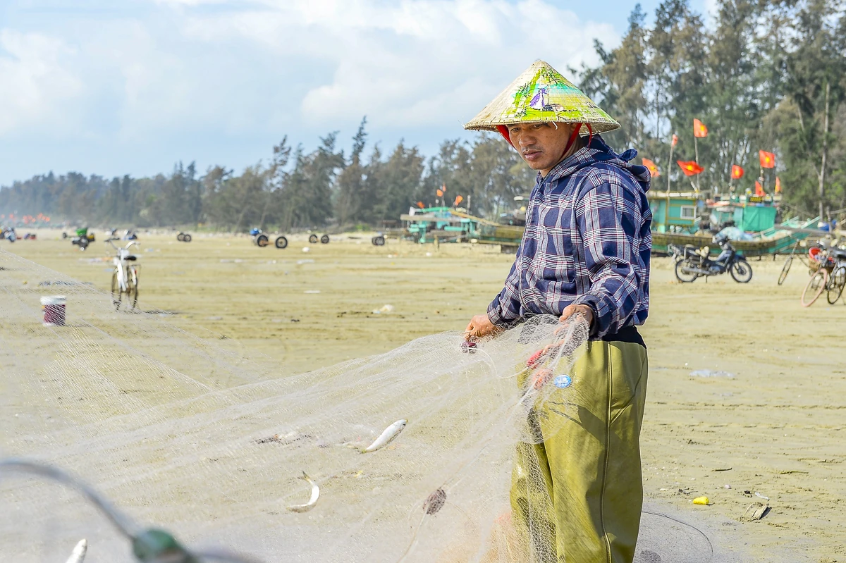 Giá nhiên liệu tăng, mùa cá trích giúp ngư dân ven biển giữ nhịp sinh kế