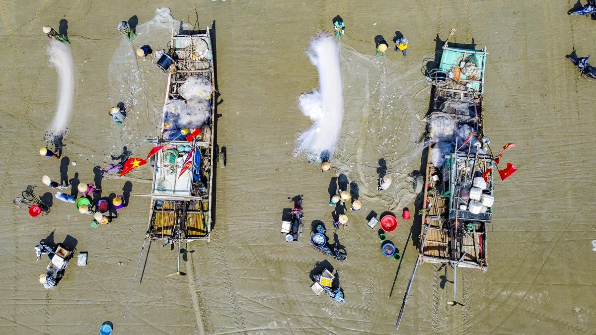 Giá nhiên liệu tăng, mùa cá trích giúp ngư dân ven biển giữ nhịp sinh kế