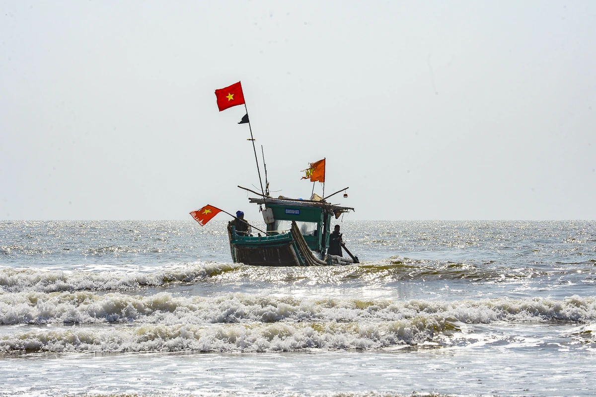 Giá nhiên liệu tăng, mùa cá trích giúp ngư dân ven biển giữ nhịp sinh kế