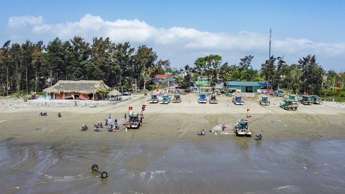 Giá nhiên liệu tăng, mùa cá trích giúp ngư dân ven biển giữ nhịp sinh kế