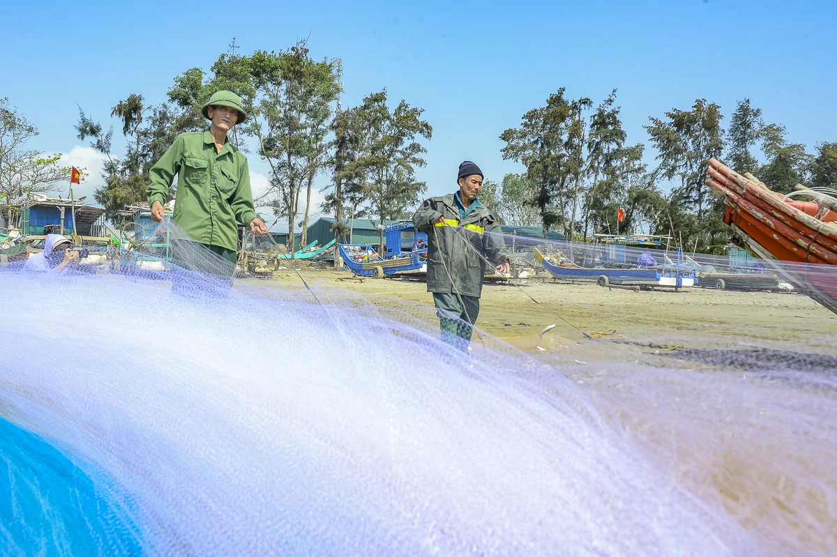 Giá nhiên liệu tăng, mùa cá trích giúp ngư dân ven biển giữ nhịp sinh kế