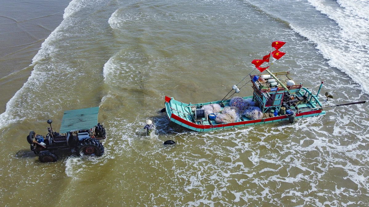 Giá nhiên liệu tăng, mùa cá trích giúp ngư dân ven biển giữ nhịp sinh kế