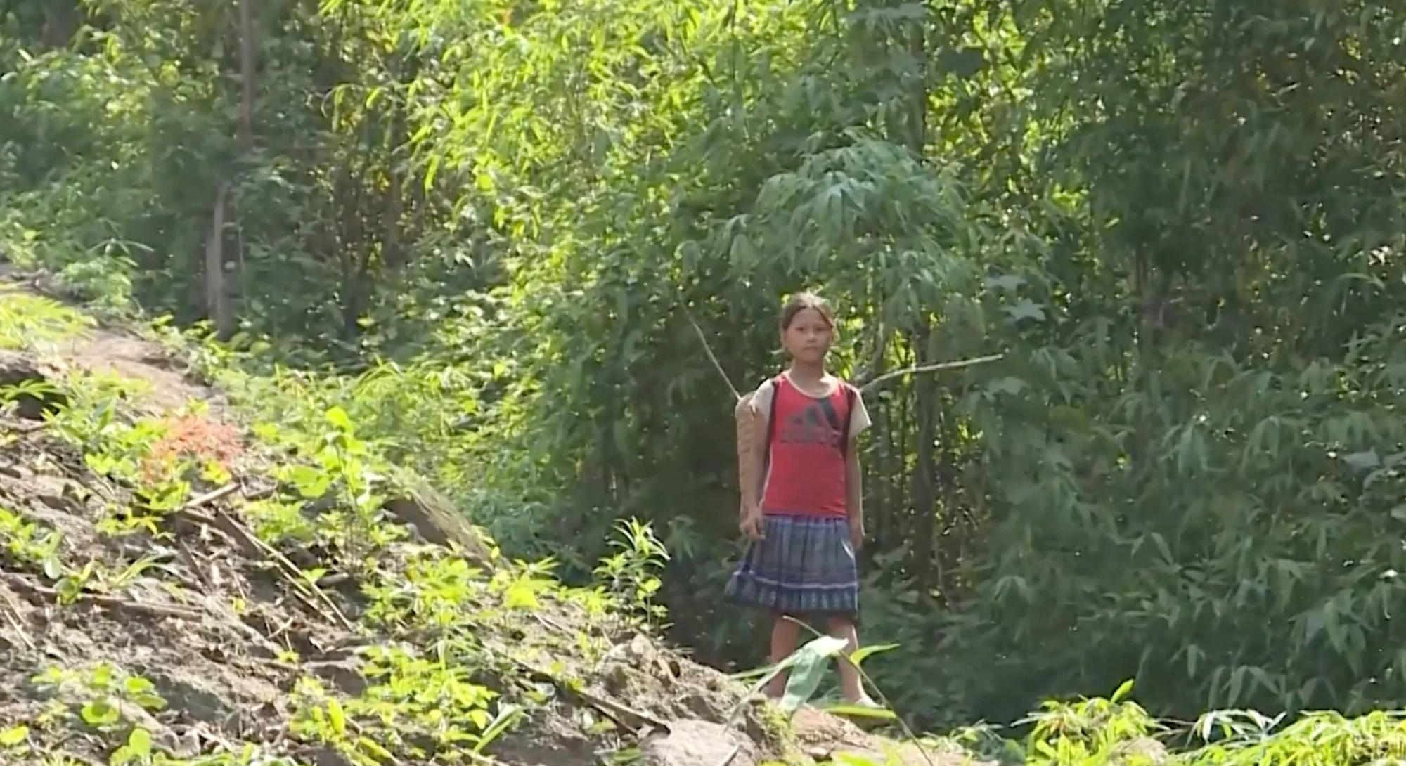 Những con chữ vượt núi