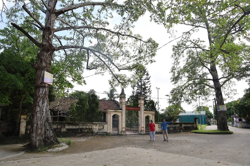 Vẻ đẹp đình làng Phong Cốc