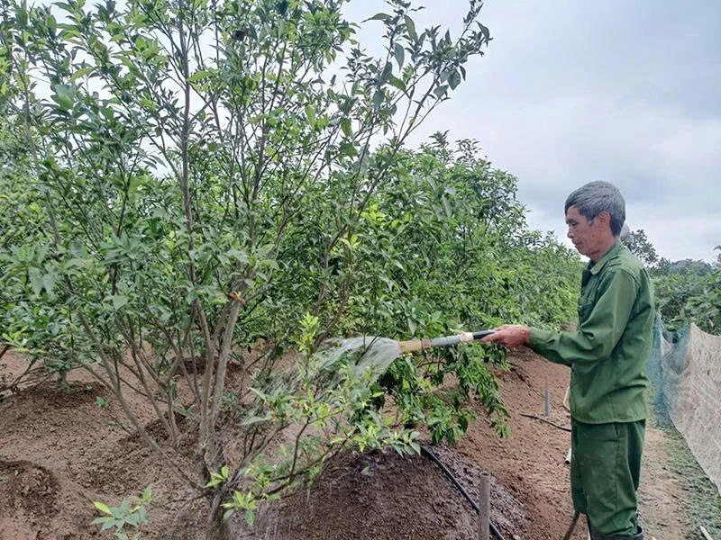 “Trái ngọt” từ tinh thần dám nghĩ, dám làm