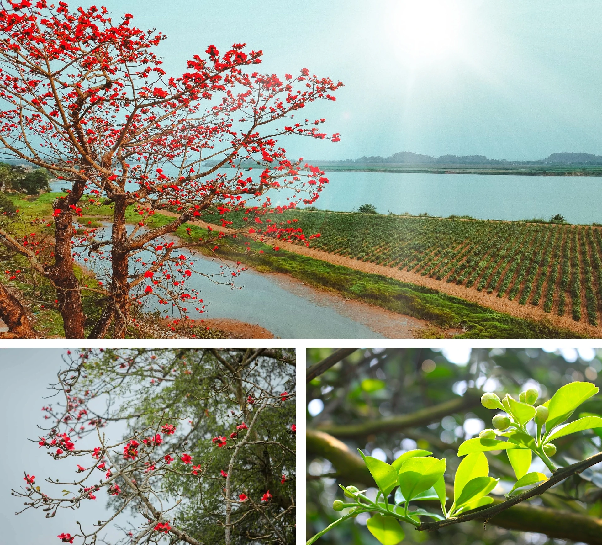 [E-Magazine]: Hơi ấm giao mùa