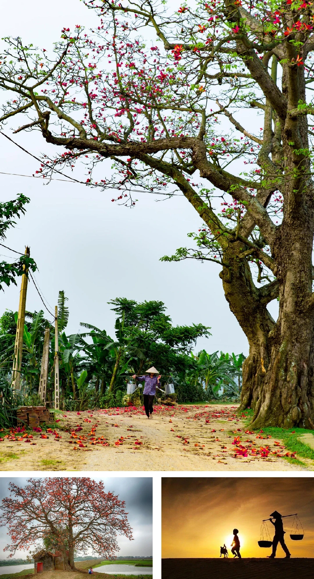 [E-Magazine]: Hơi ấm giao mùa