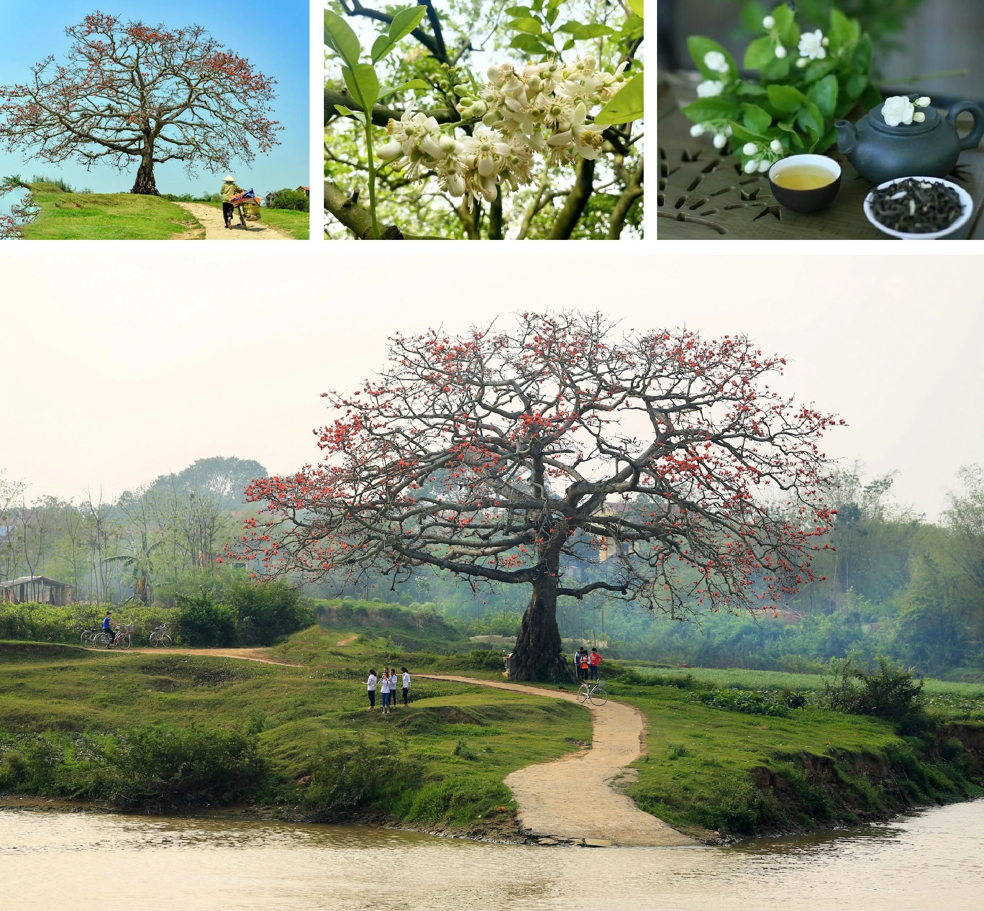 [E-Magazine]: Hơi ấm giao mùa