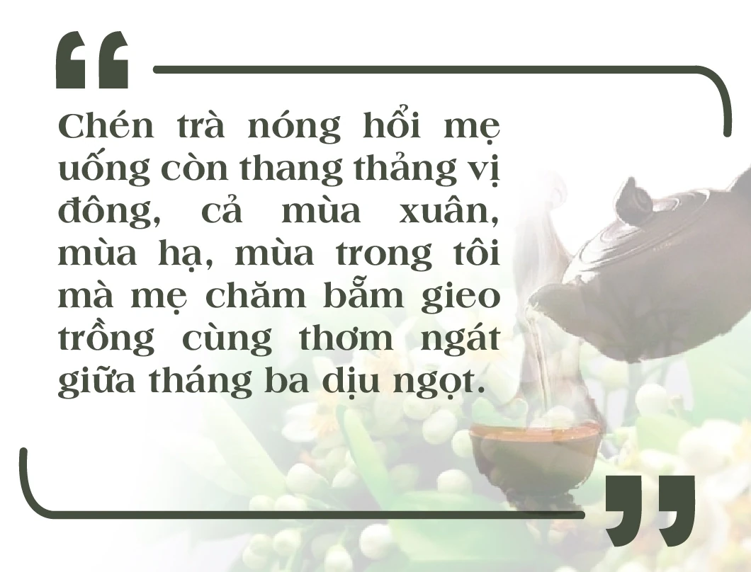 [E-Magazine]: Hơi ấm giao mùa