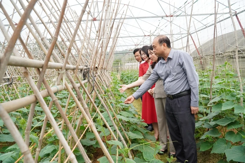 Ra mắt Câu lạc bộ “Nông dân sản xuất kinh doanh giỏi” 