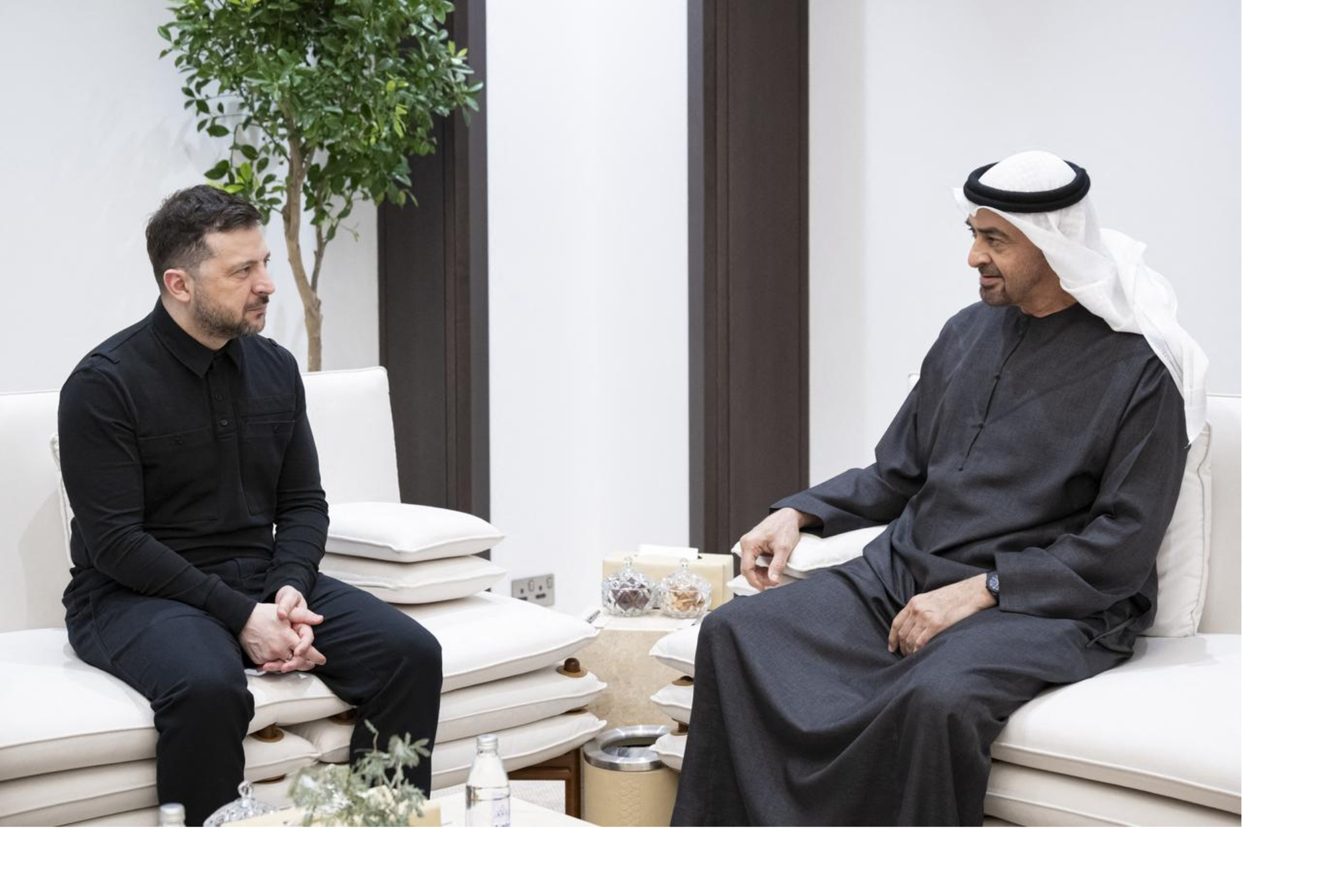 Ukraine mở rộng hợp tác quốc phòng với UAE, Qatar