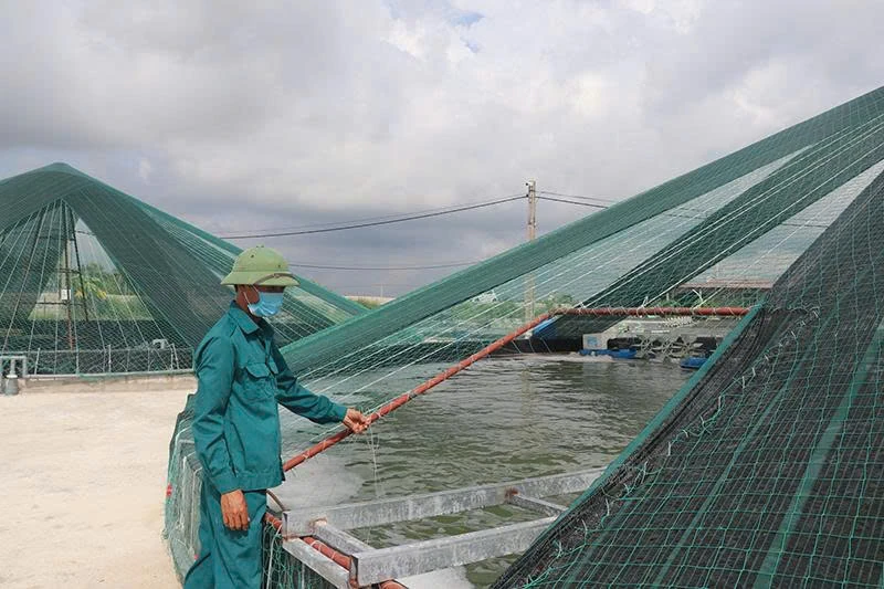 Phát triển ngành thủy sản hiện đại, bền vững