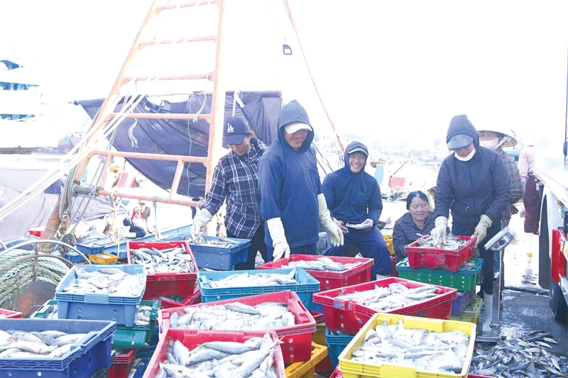 Phát triển ngành thủy sản hiện đại, bền vững