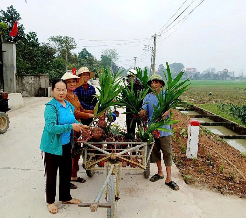 Làm đẹp những đường quê