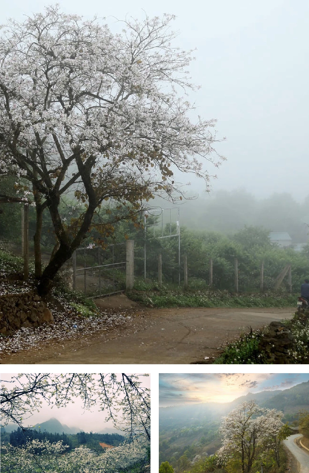 [E-Magazine]: Mùa dịu dàng