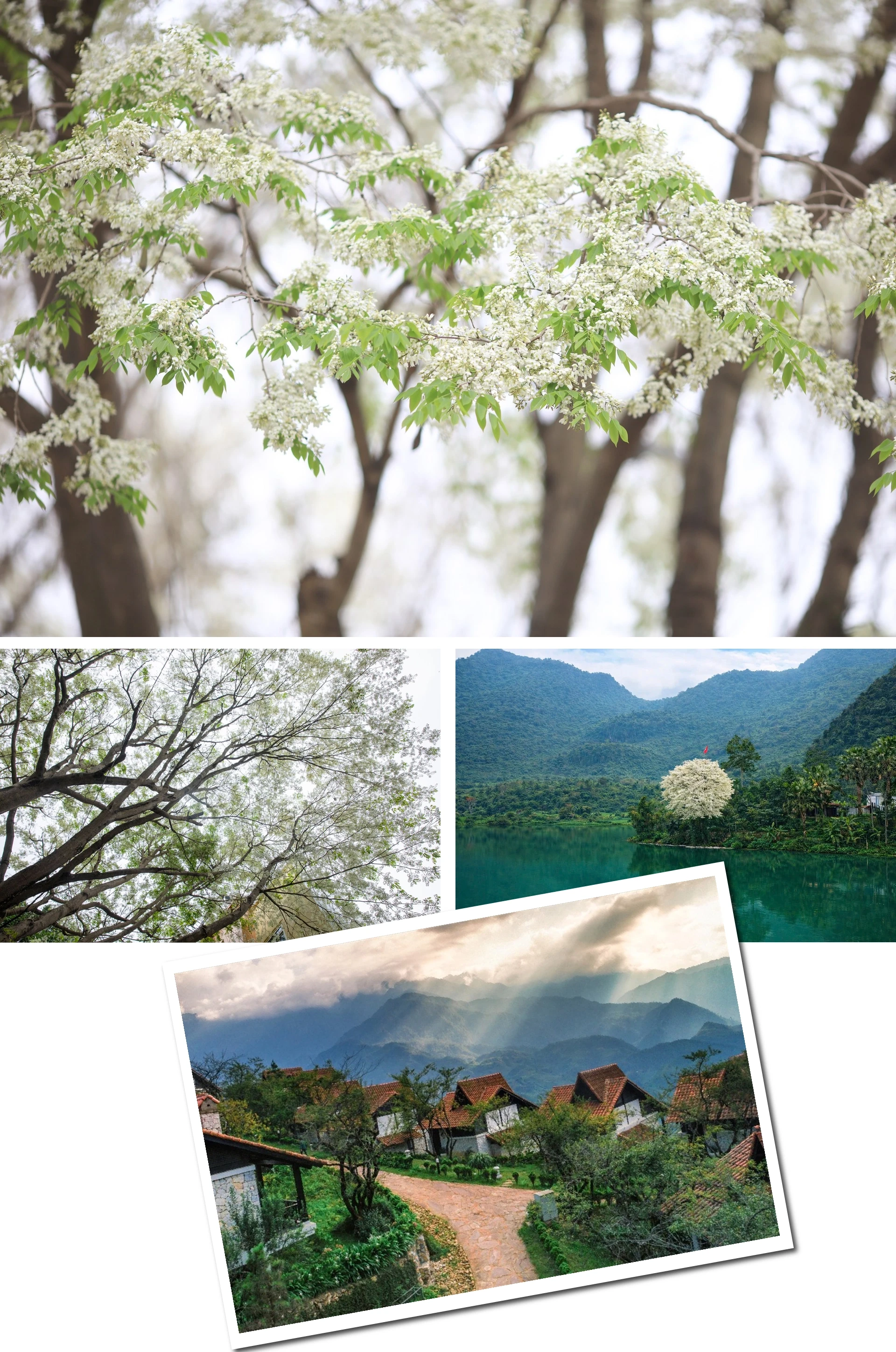 [E-Magazine]: Mùa dịu dàng