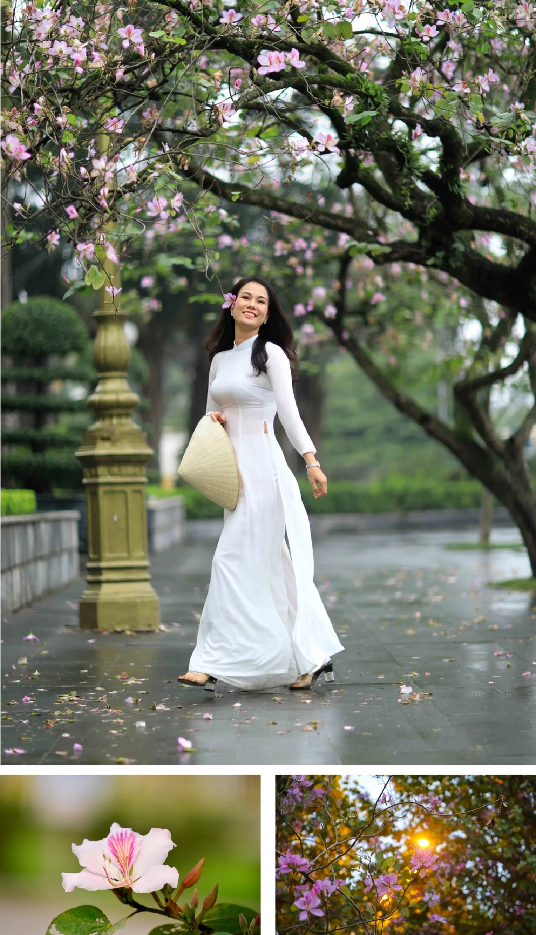 [E-Magazine]: Mùa dịu dàng