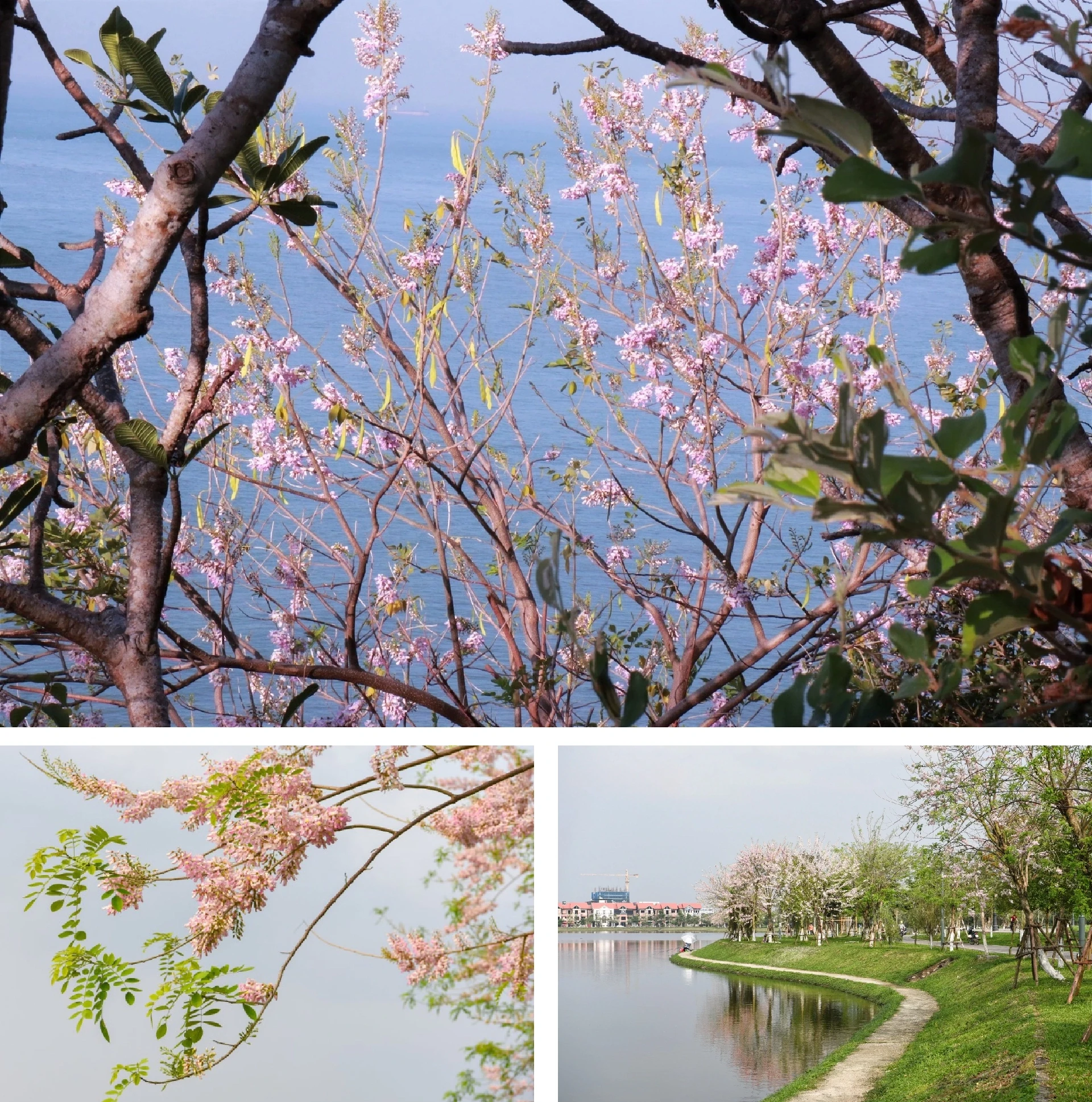 [E-Magazine]: Mùa dịu dàng