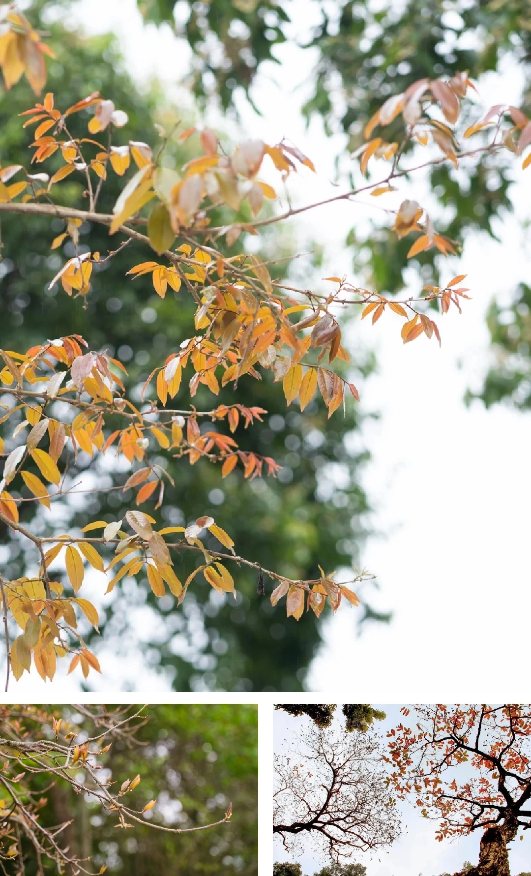 [E-Magazine]: Mùa dịu dàng