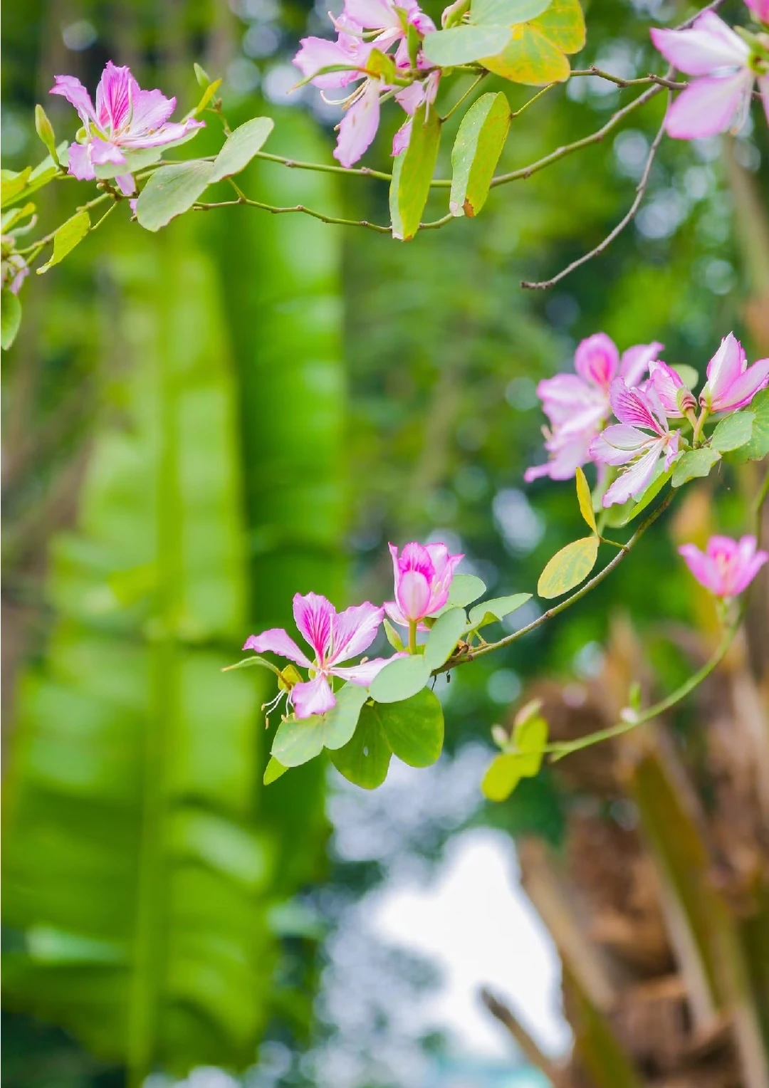 [E-Magazine]: Mùa dịu dàng