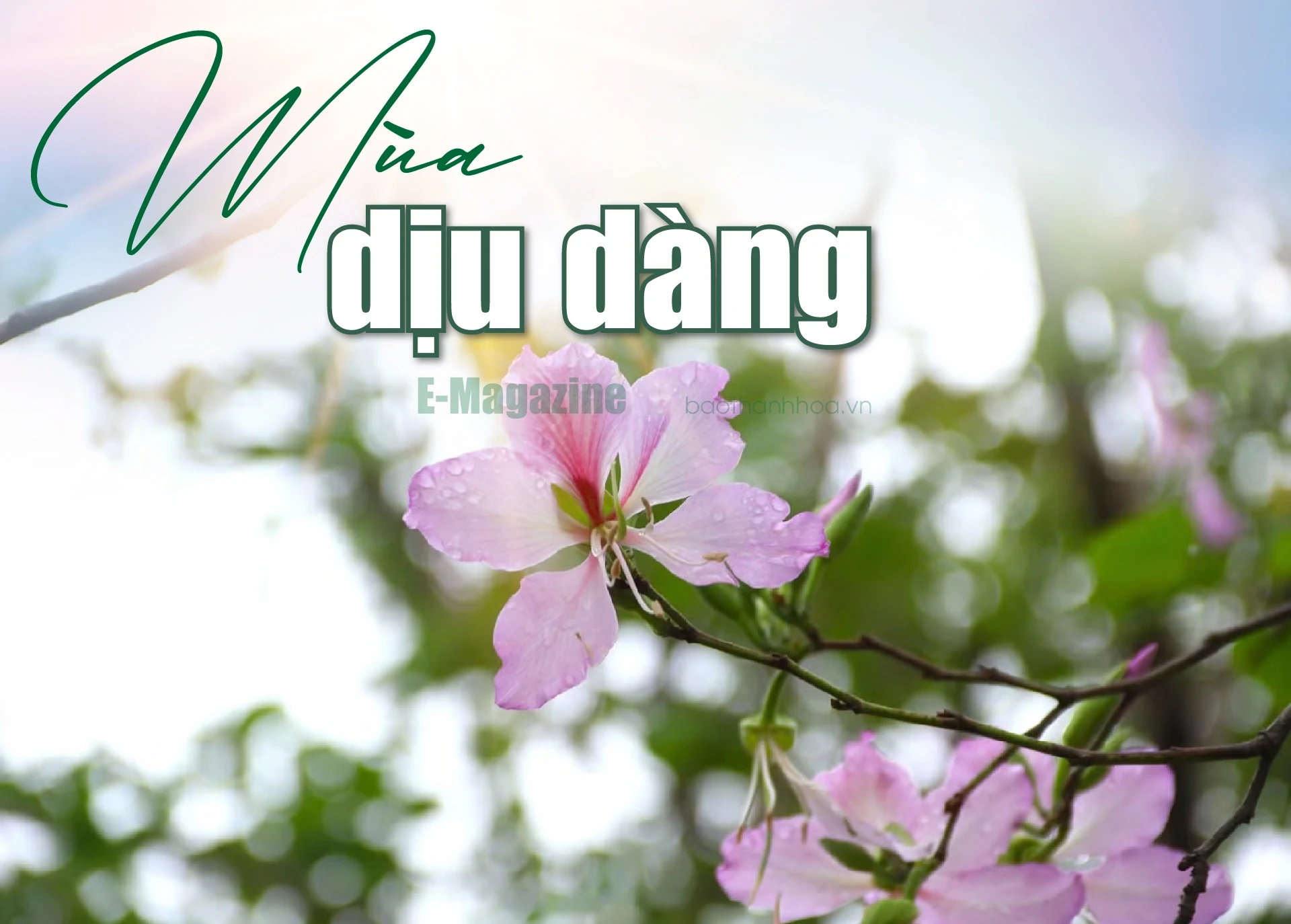 [E-Magazine]: Mùa dịu dàng