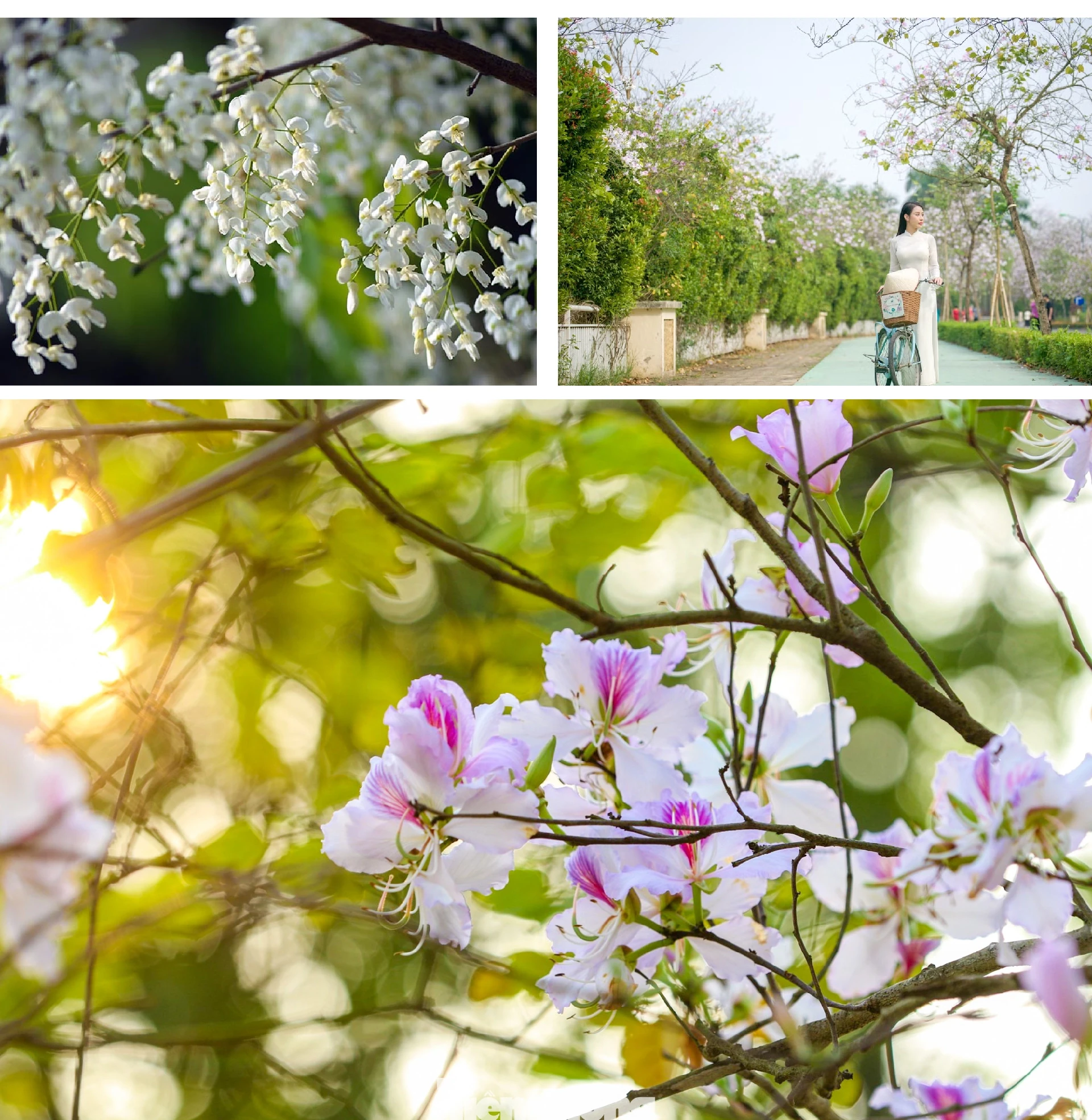 [E-Magazine]: Mùa dịu dàng