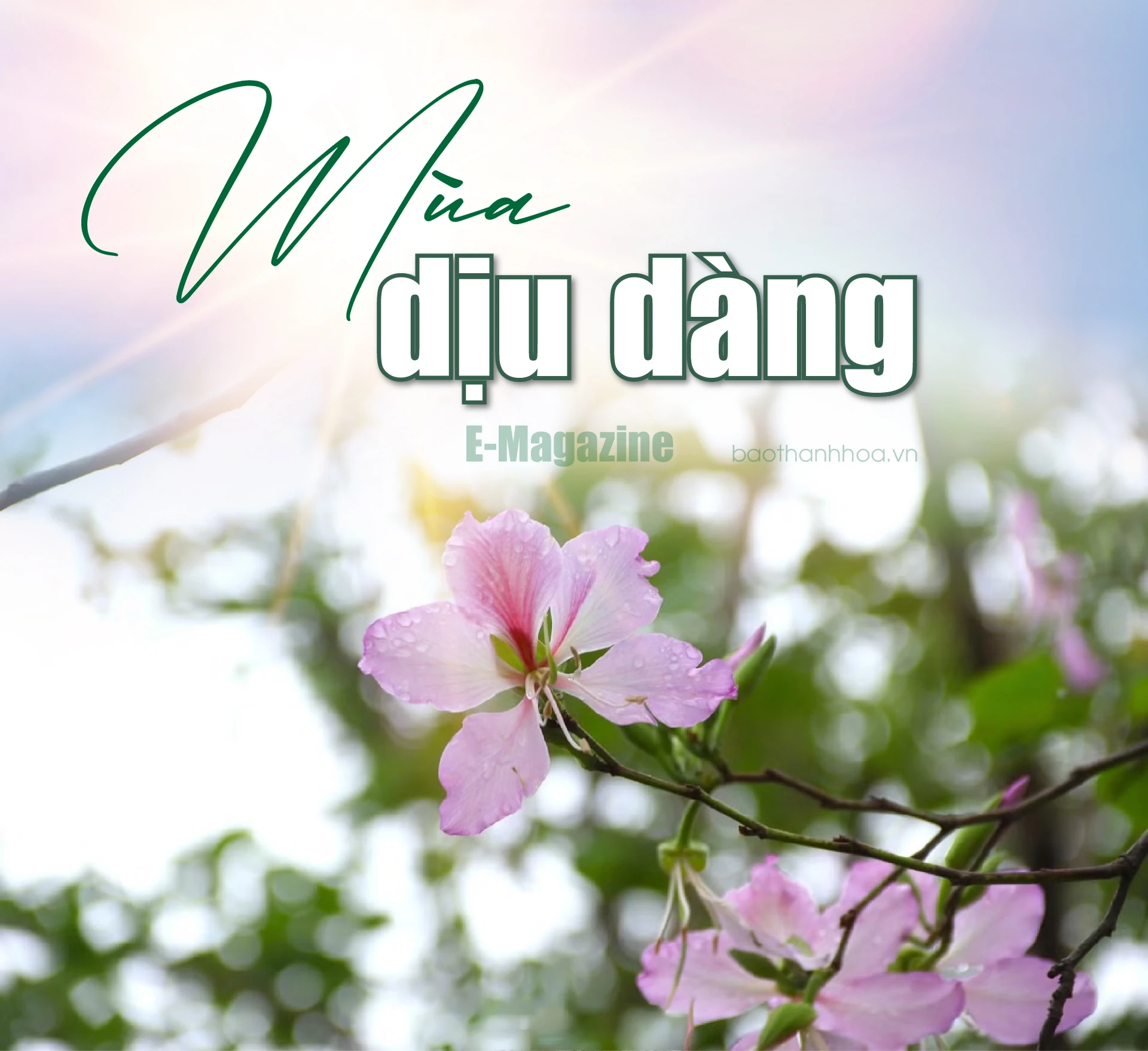 [E-Magazine]: Mùa dịu dàng