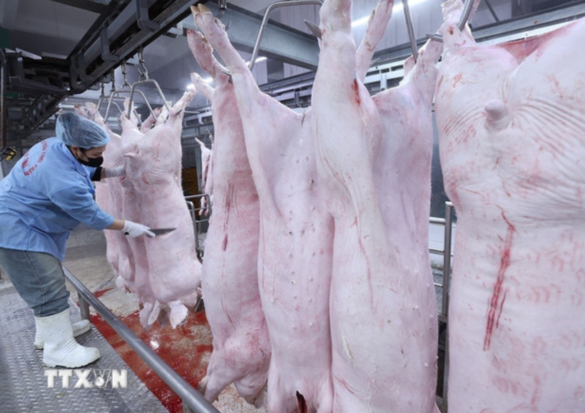 Bộ Y tế: Siết chặt kiểm tra bếp ăn tập thể, trường học ngăn thực phẩm bẩn