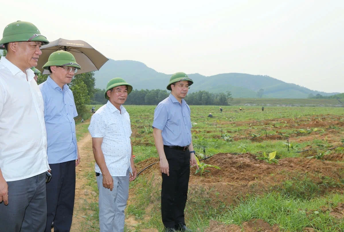 Xã Tượng Lĩnh tập trung lãnh đạo, chỉ đạo hoàn thành các quy hoạch, nhằm kiến tạo không gian phát triển mới