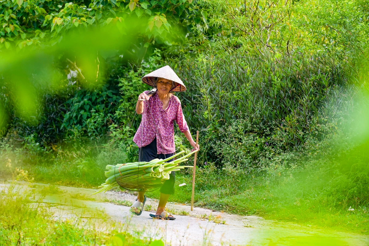Làng cổ Đông Sơn - Điểm chạm miền ký ức