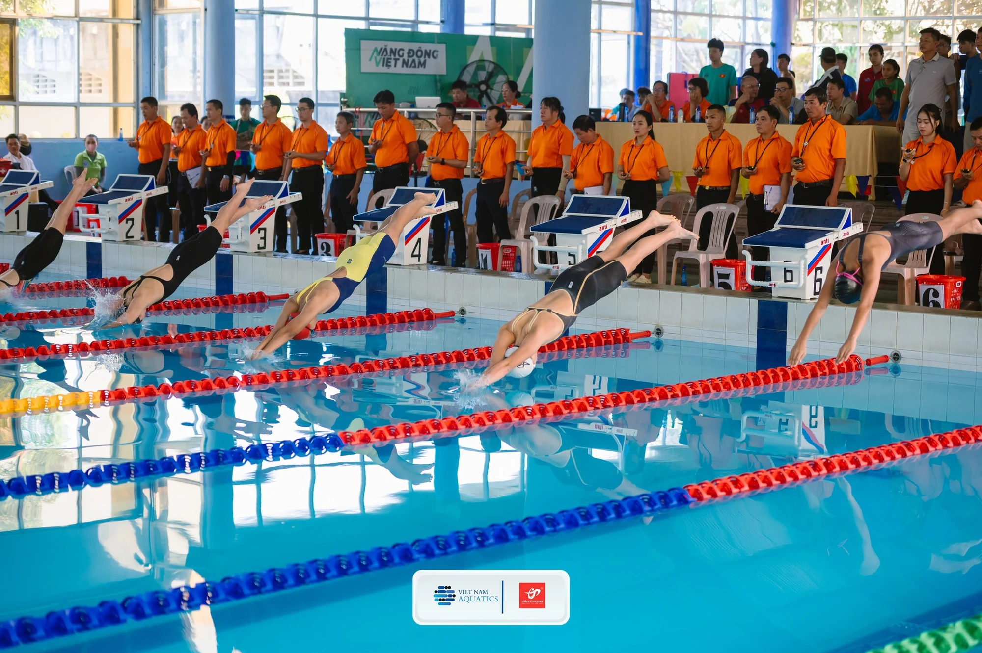 Thanh Hóa khởi đầu năm 2026 ấn tượng tại giải bơi VĐQG bể 25m