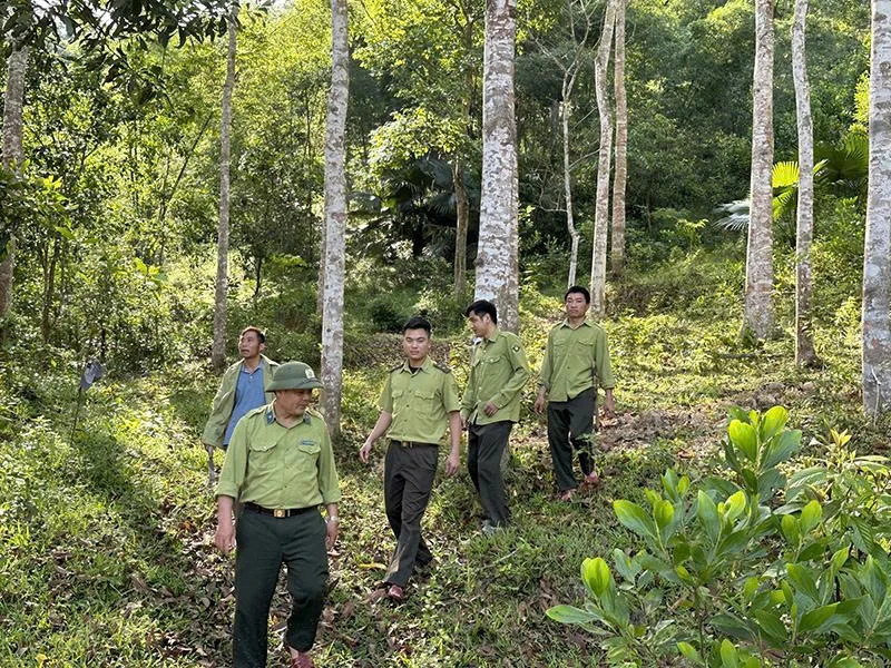 Giữ rừng phòng hộ đầu nguồn gắn với phát triển rừng trồng hiệu quả