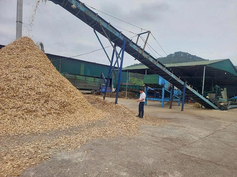 Xuân Du phát triển kinh tế lâm nghiệp, quản lý rừng bền vững