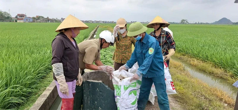 Nông dân chung tay bảo vệ môi trường “Sáng - xanh - sạch - đẹp”