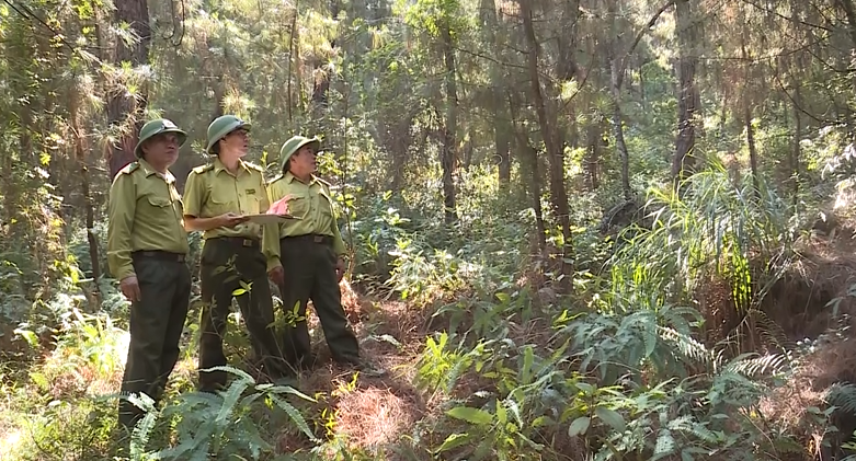 Triển khai các biện pháp cấp bách PCCC rừng mùa nắng nóng