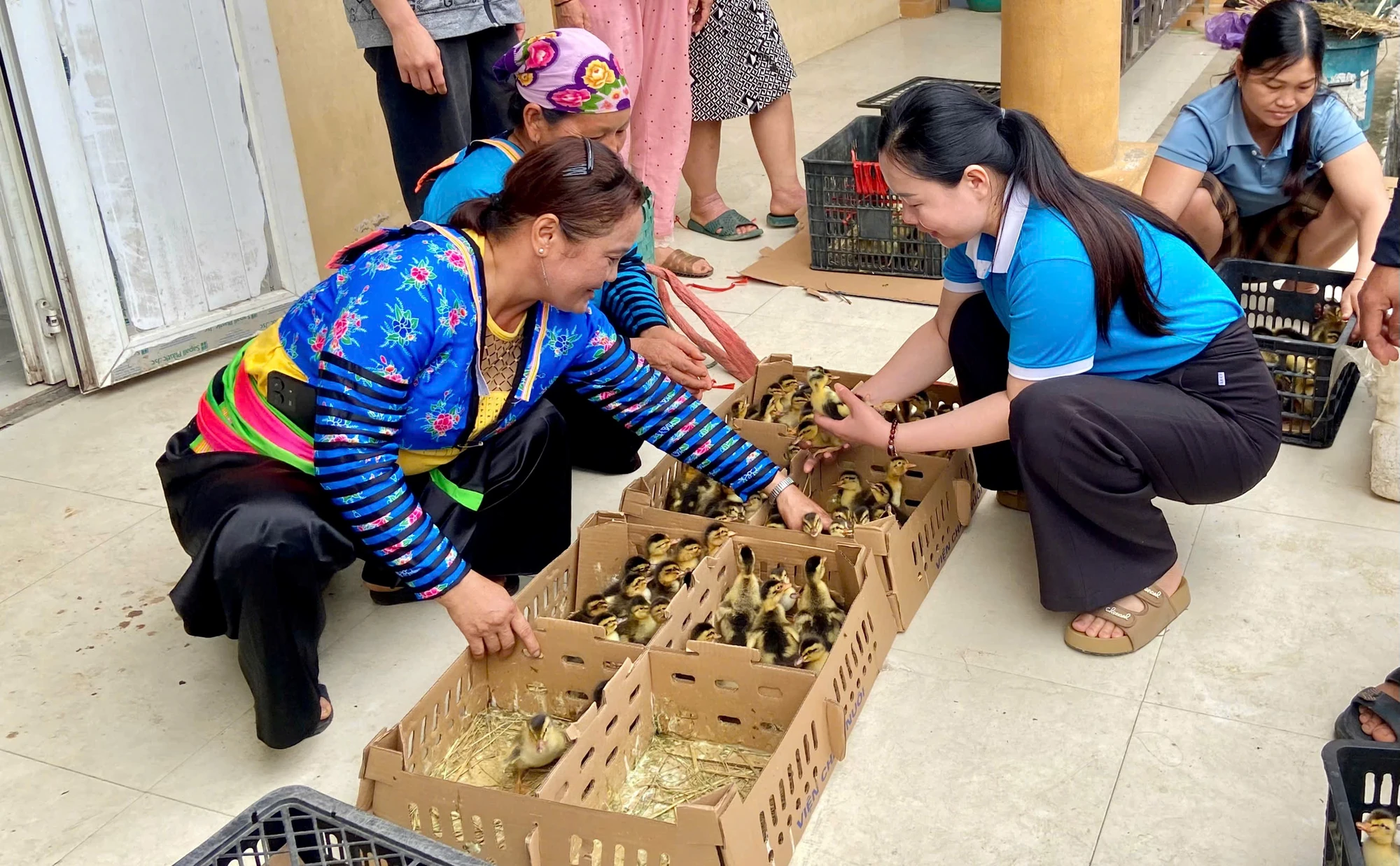 Nhiều công trình, phần việc chào mừng Đại hội đại biểu Phụ nữ toàn quốc, lần thứ XIV