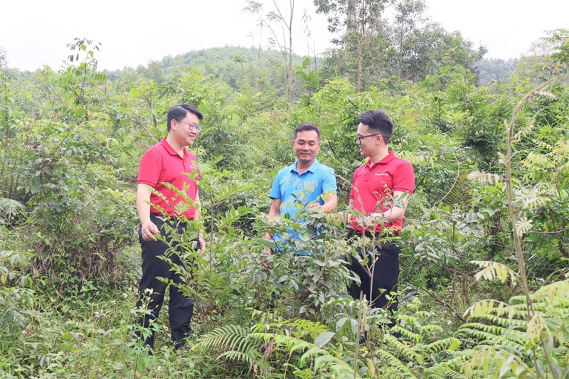 Dấu ấn tiên phong vì sự phát triển nông nghiệp xanh, bền vững