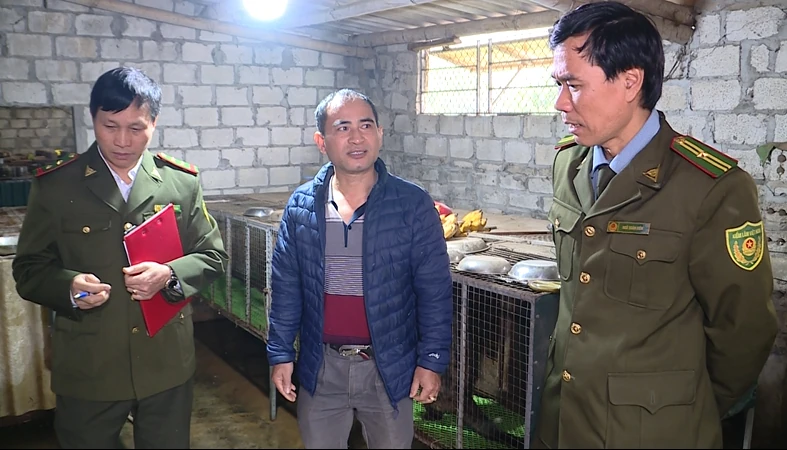 “Siết” quản lý cơ sở nuôi nhốt động vật hoang dã