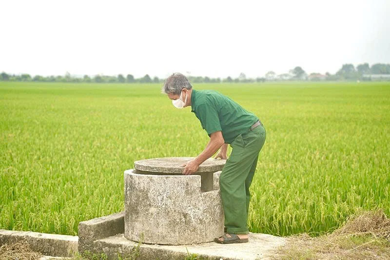 Từ bể chứa rác thải đến cánh đồng xanh, sạch