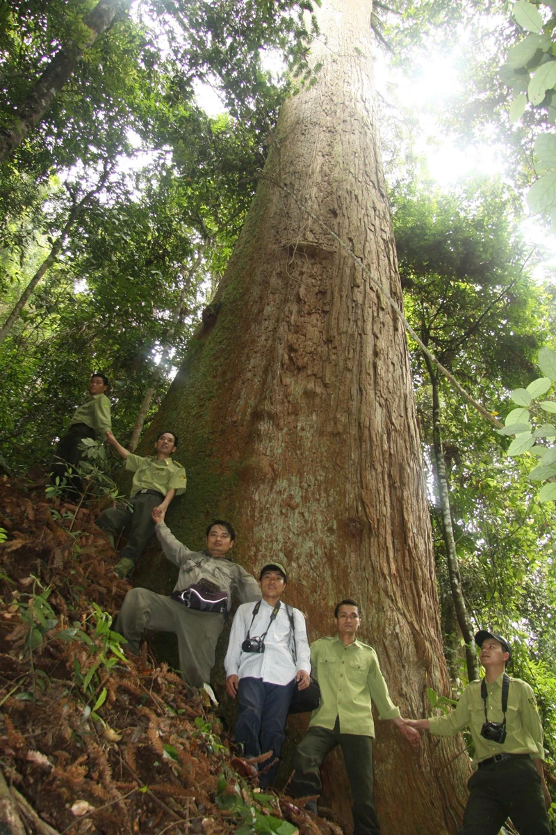 Bảo tồn tính đa dạng sinh học ở Vườn quốc gia Xuân Liên