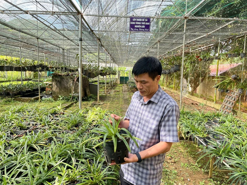 Bảo tồn tính đa dạng sinh học ở Vườn quốc gia Xuân Liên