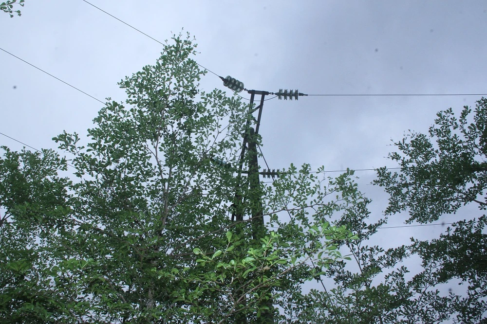Ra quân giải phóng hành lang an toàn lưới điện cao áp tại Như Thanh