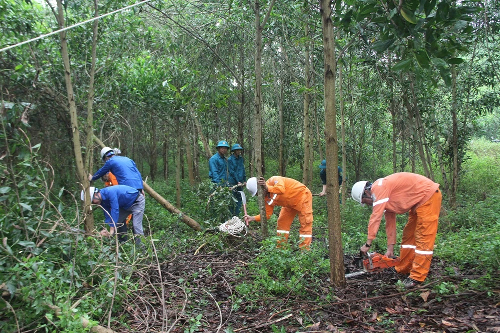 Ra quân giải phóng hành lang an toàn lưới điện cao áp tại Như Thanh