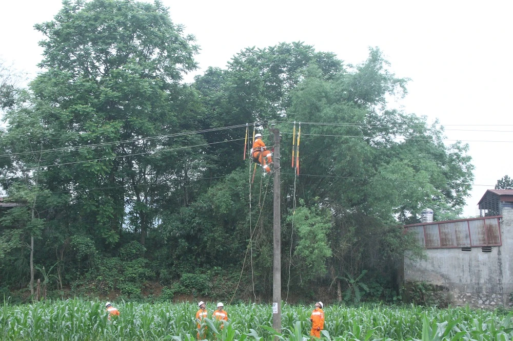 Công ty Điện lực Thanh Hóa diễn tập phòng chống thiên tai và tìm kiếm cứu nạn năm 2026