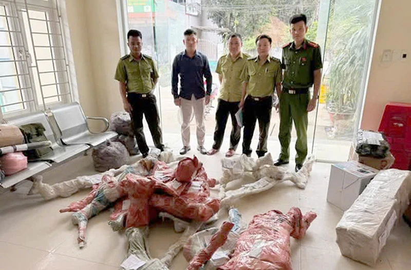 Phát hiện, tạm giữ 15 phôi cây Muội hồng không rõ nguồn gốc được ký gửi tại Bưu điện