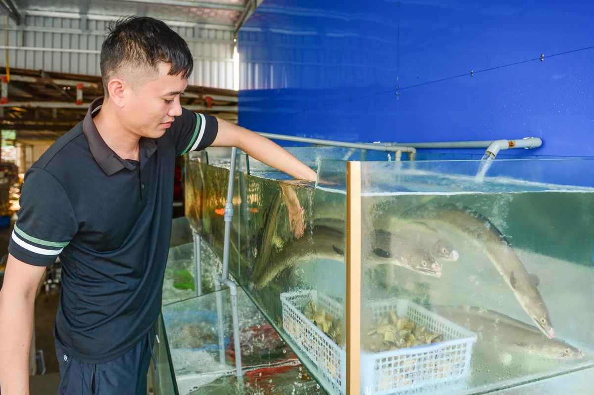 Hải Tiến gấp rút chỉnh trang diện mạo chào đón mùa du lịch hè 2026