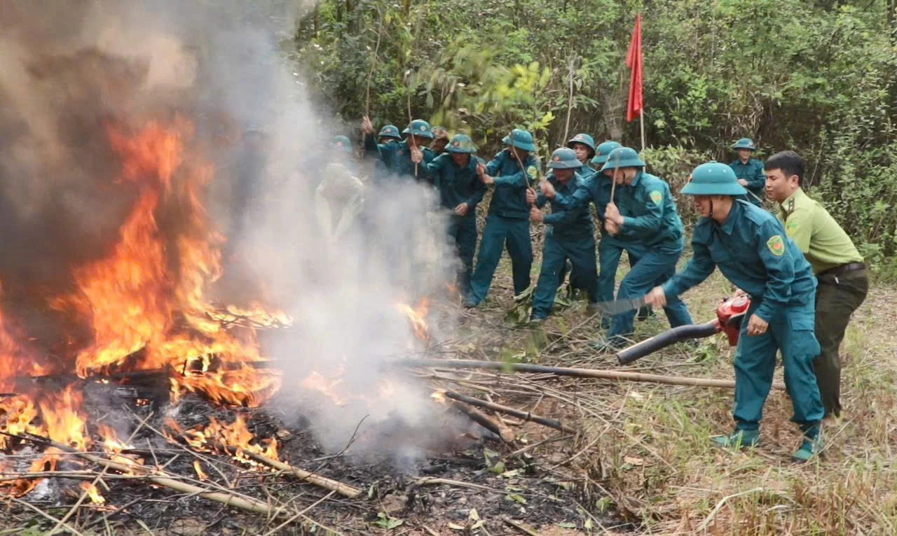 Diễn tập - Giải pháp trọng tâm nâng cao năng lực phòng cháy, chữa cháy rừng