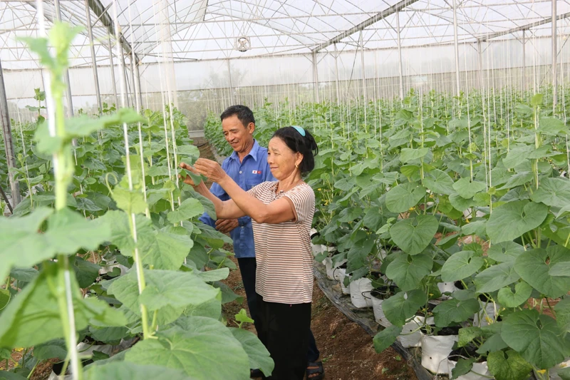 MTTQ xã Thiệu Tiến phát huy hiệu quả các phong trào thi đua yêu nước